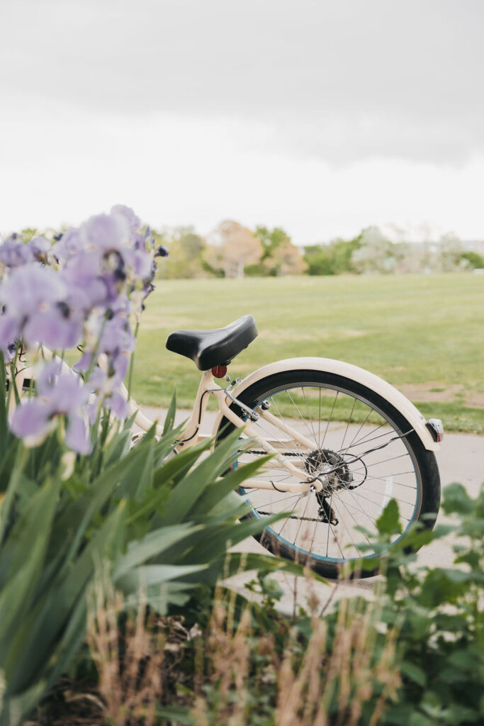 A bike parked in front of gorgeous flowers